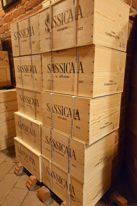 Sassicaia 2022 Tenuta San Guido