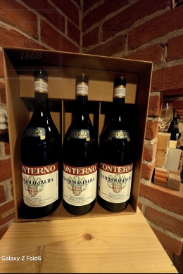 Nebbiolo D'Alba Arione 2022 Magnum Giacomo Conterno Giacomo Conterno