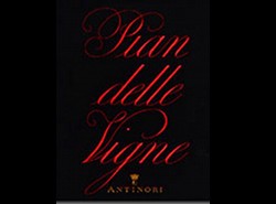 pian delle vigne